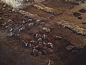 boulders marked during archaeological survey. East Church, Cromarty 2008